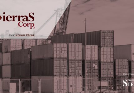 Las aduanas en la pandemia