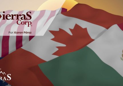 Aspectos Prácticos del T-MEC