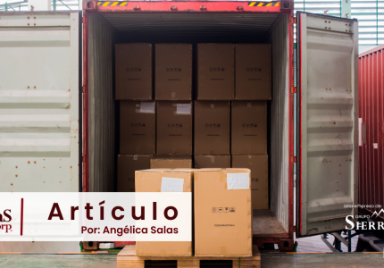 Almacenajes y Demoras, ¿No es lo mismo?