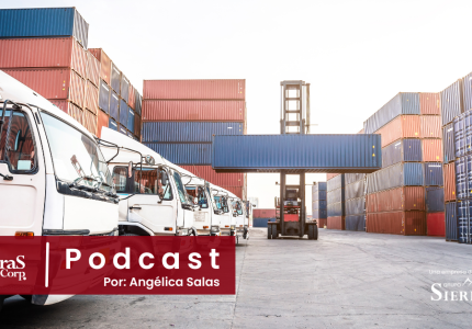 Saturación del puerto de Manzanillo; organización o falta de infraestructura